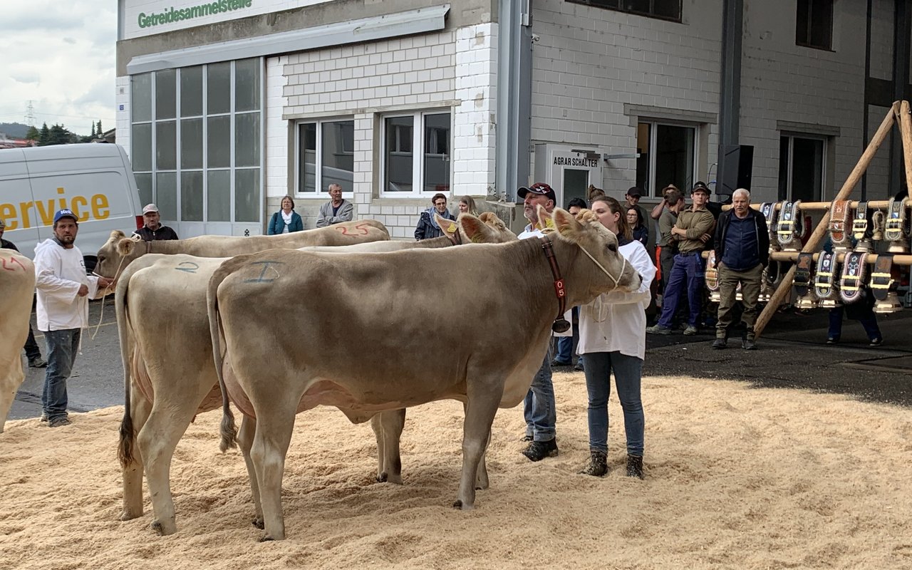 Espesse gewinnt die Jubiläumsviehschau in Illnau - bauernzeitung.ch ...