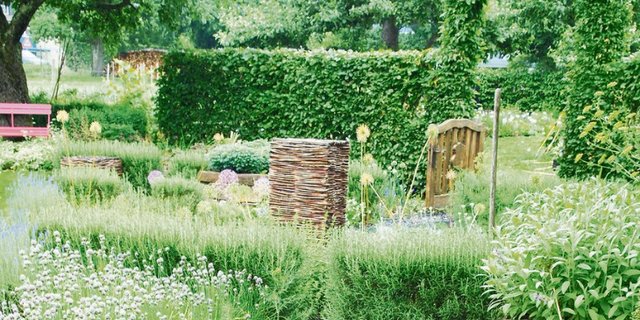In Schaugärten findet man überraschende Beeteinfassungen, wie in Form geschnittener Rosmarin. (Bild Ruth Bossardt)