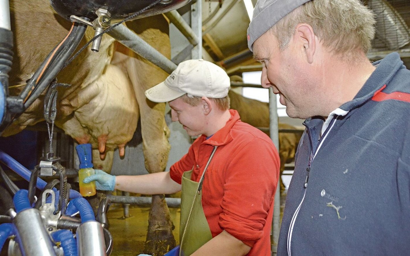Arbeiten und Wohnen auf dem Lehrbetrieb fördert die persönliche Entwicklung der Lernenden. Am 5. Januar berichten EFZ-Absolventen von ihren Erfahrungen.