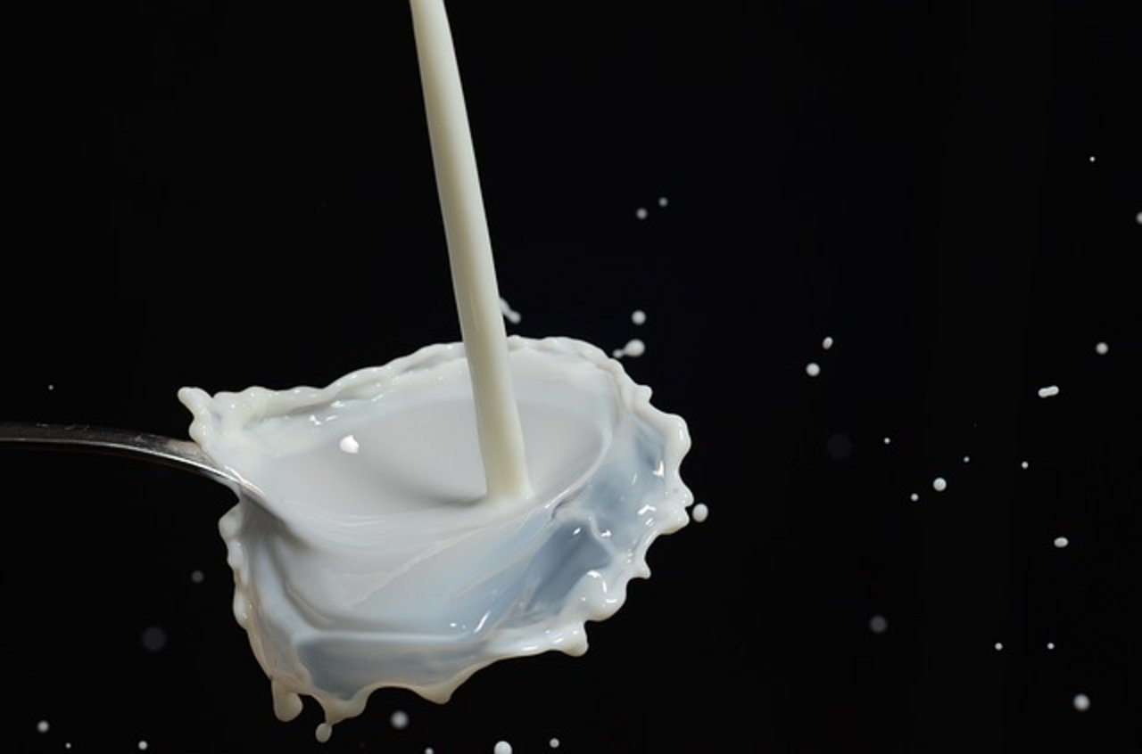 Im 2018 lief die Milchproduktion in Dänemark auf Hochtouren. (Bild pixabay)