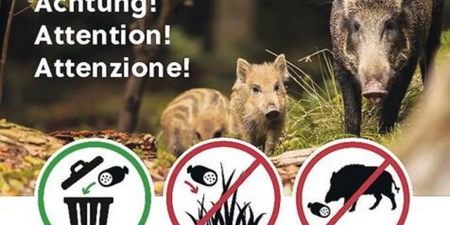 Solche Plakate, mit Textergänzung, sollen auf die Risiken von ASP hinweisen. Und dass keine Speiseabfälle weggeworfen werden sollen.