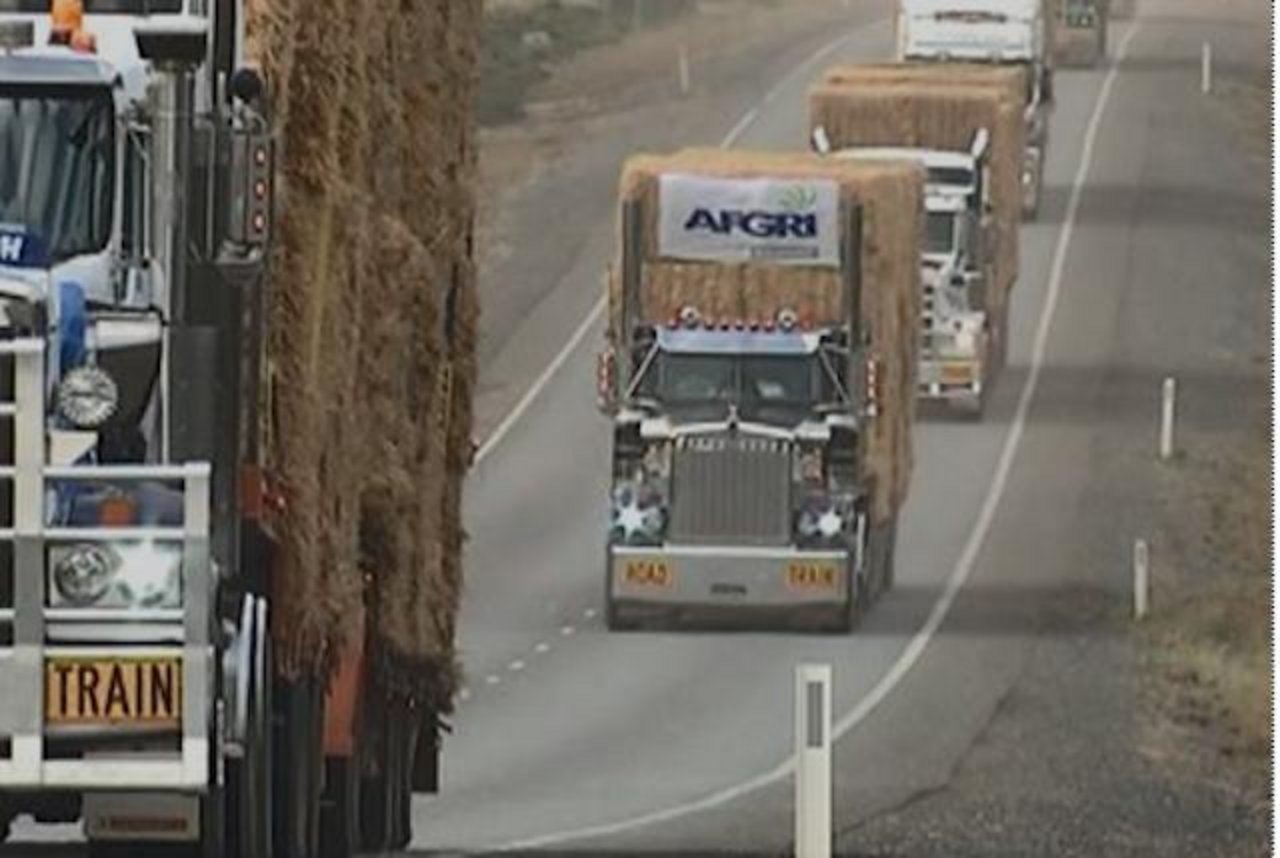 LKW's voll beladen mit Heu und Futter sind unterwegs zu den Landwirten in New South Wales. (Bild Screenshot Video ABC Rural)