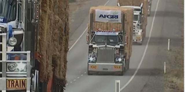LKW's voll beladen mit Heu und Futter sind unterwegs zu den Landwirten in New South Wales. (Bild Screenshot Video ABC Rural)