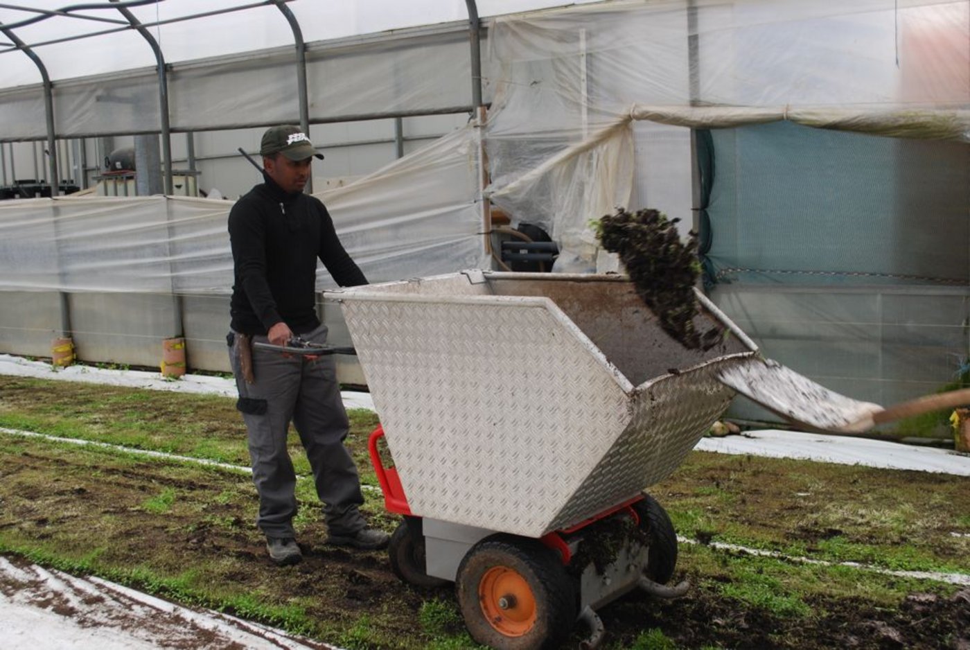 beschäftigt er Flüchtlinge auf seinem Betrieb. 