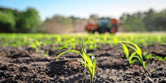 Die Parlamentarische Initiative von Philipp Bregy will, dass EU-Bestimmungen zu Pflanzenschutzmitteln in der Schweiz zur Anwendung kommen.