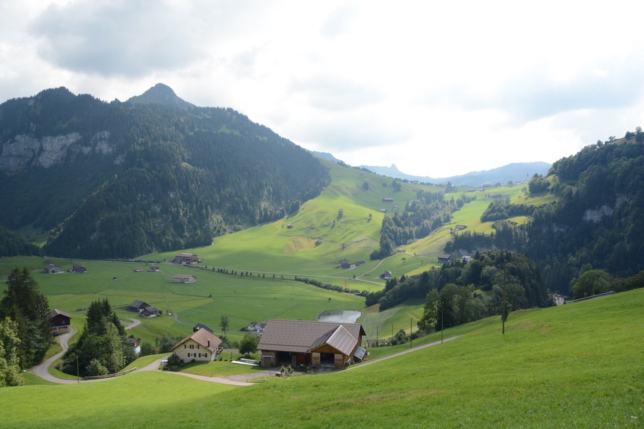 Auch in dieser bergigen Region Ybrig treibt sich ein Wolf herum, habe bisher aber noch keine Schäden an Nutztieren verursacht.