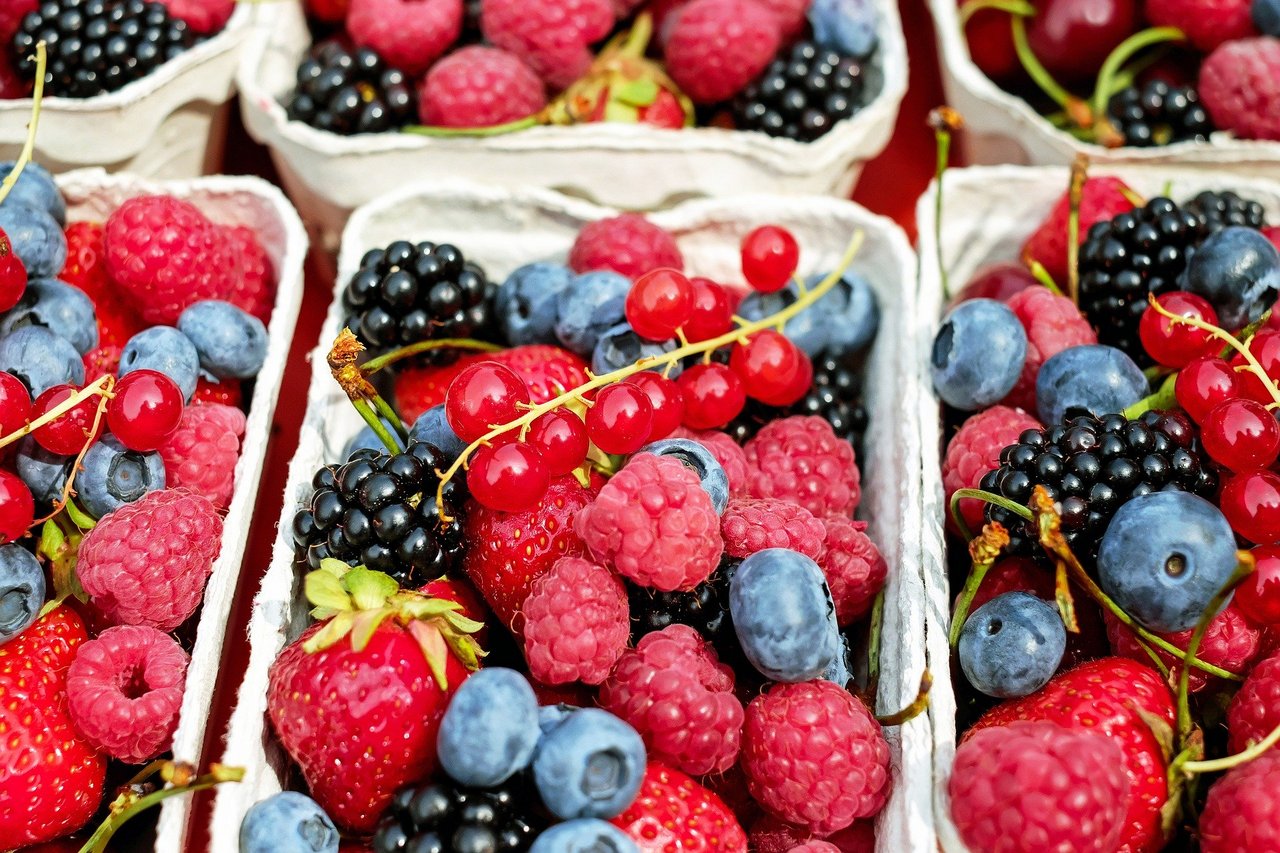 Schalen voller Beeren kann ein jeder leeren. (Bild lid) 