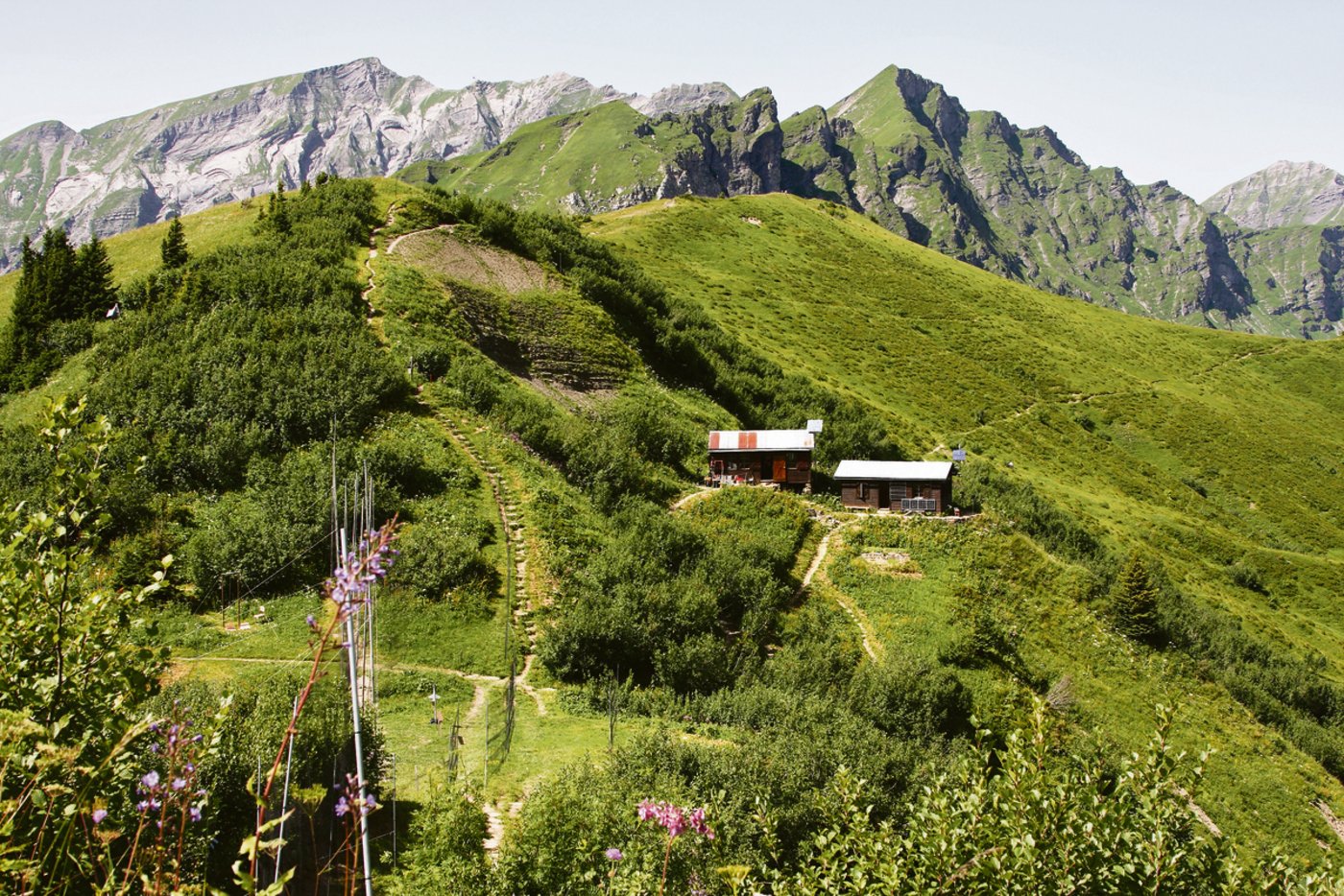 Übersichtsbild von der Schwebfliegen-Forschungsstation auf dem Walliser Col de Bretolet, einem Gebirgspass auf 1923 m ü. M. an der Grenze zwischen Frankreich und der Schweiz. (Bild Marco Thoma)
