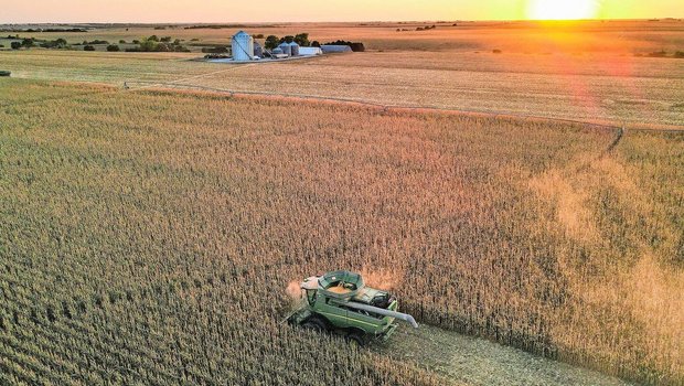 In der Schweiz sieht die Landwirtschaft ganz anders aus als in Amerika. Das macht es schwieriger, die Regenerative Landwirtschaft als neuen Produktionsstandard zu positionieren.