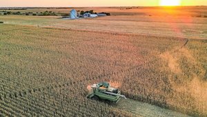 In der Schweiz sieht die Landwirtschaft ganz anders aus als in Amerika. Das macht es schwieriger, die Regenerative Landwirtschaft als neuen Produktionsstandard zu positionieren.