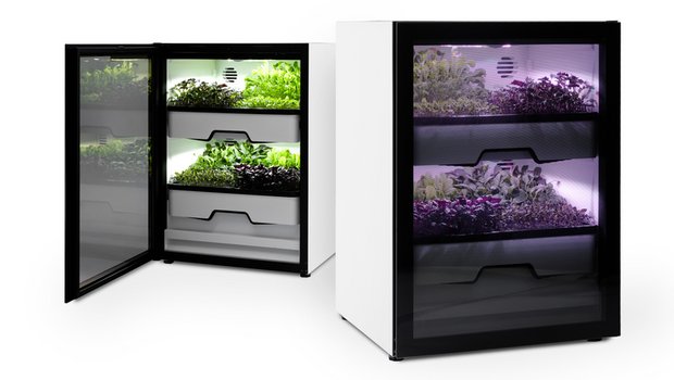 Vielleicht stehen in unseren Haushalten schon bald solche Vertical-Farming Kästen. (Bild Agrilution Plantcube, zVg)