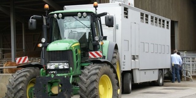 Transportiert werden sollen trächtige Rinder weiterhin dürfen. (Bild lid)