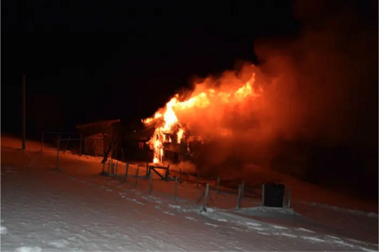 Beim Brand in Hundwil AR kamen 200 Mastschweine ums Leben. (Bildquelle: Kantonspolizei Appenzell Ausserrhoden) (Bild Kantonspolizei Appenzell Ausserrhoden)