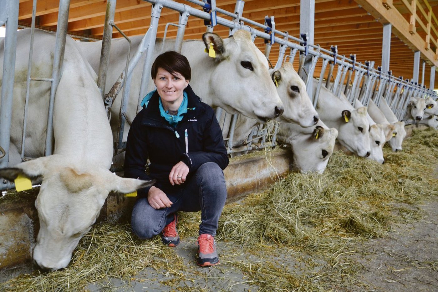 Tanja Müller im Viehstall: Sie und ihr Mann führen einen Betrieb mit Piemontesern, Schweinemast und Fischproduktion.(Bild Susanne Künsch)