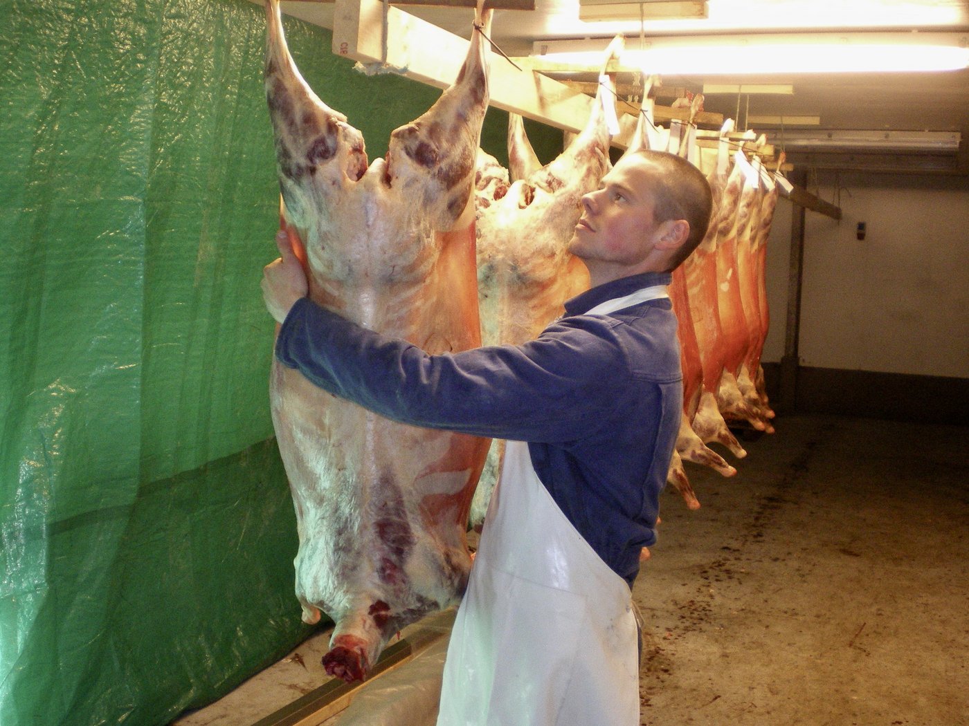 Die Färöer-Insel Stóra Dímun: Das Fleisch wird vor Ort verarbeitet. 