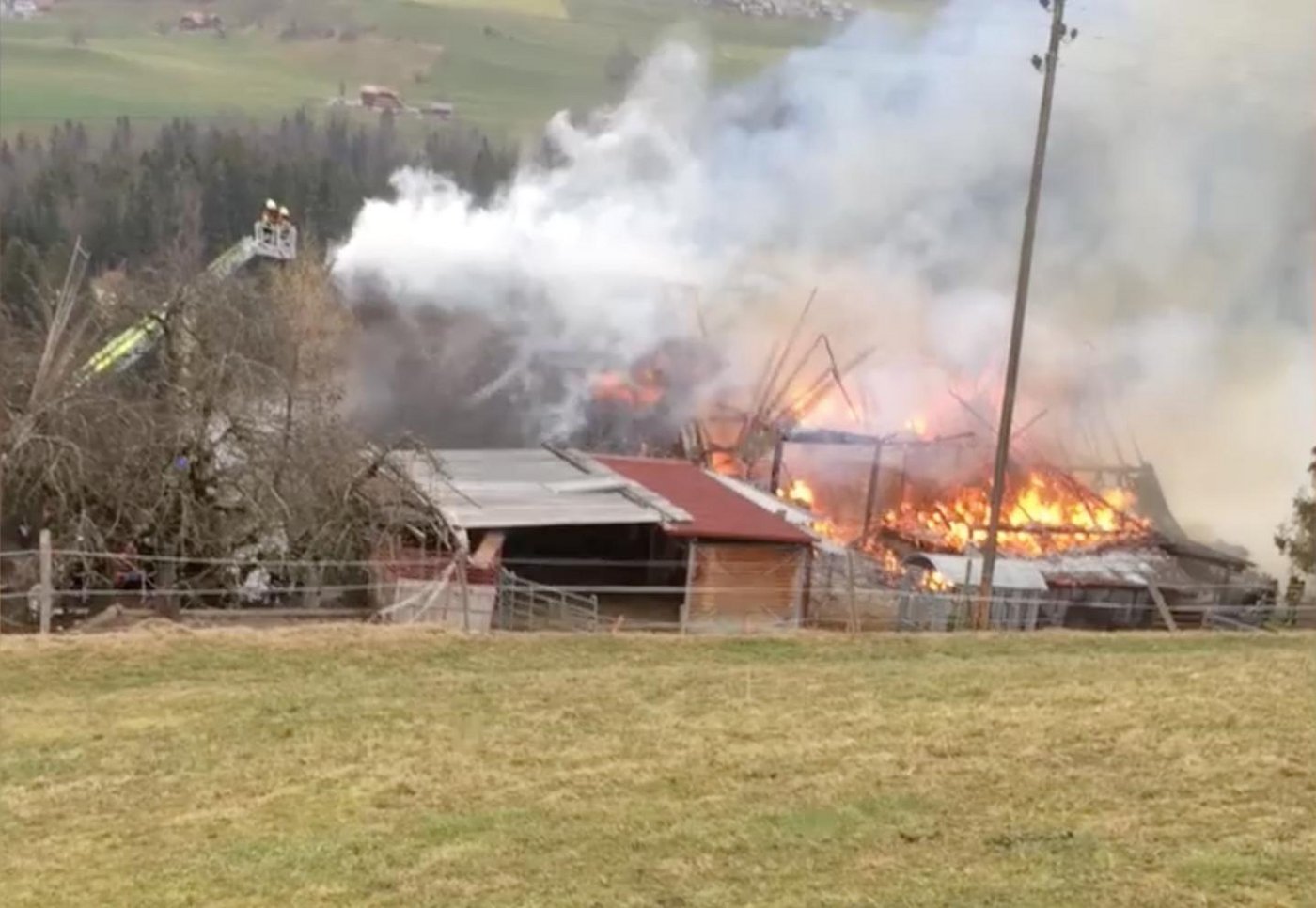 Die Feuerwehr versucht das Feuer vom Kran zu löschen. (Bild Video Lesereporter 20 Minuten)