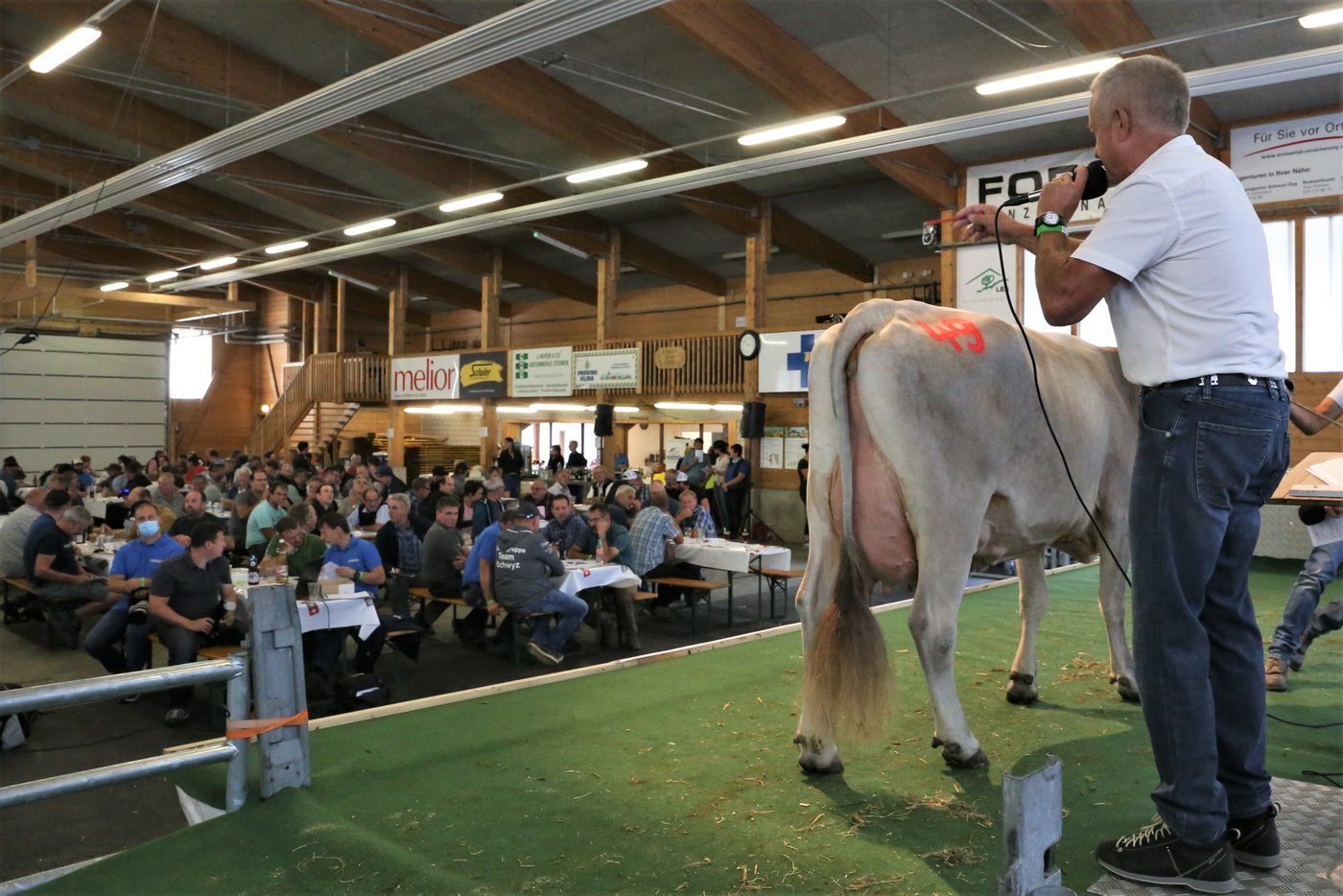 Der Auktionator Bruno Furrer fand für alle 38 Tiere einen neuen Besitzer.