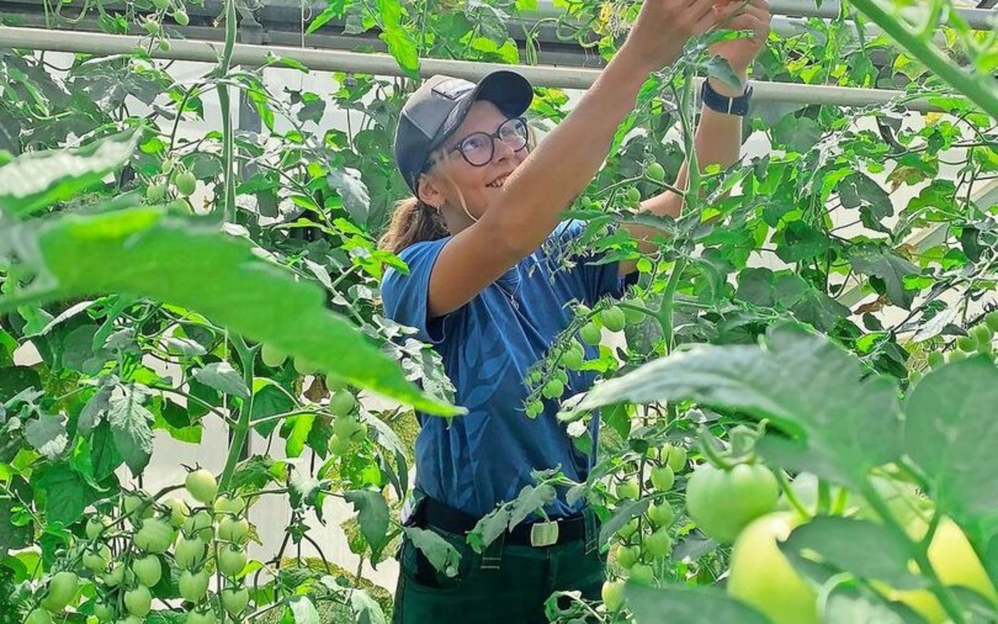 Solène Luder (21) hat jetzt gefunden, was sie suchte: Eine sinnvolle Arbeit, im Kontakt mit der Natur. Auf die Idee, eine Lehre als Gemüsegärtnerin anzutreten, ist sie zufällig gekommen.