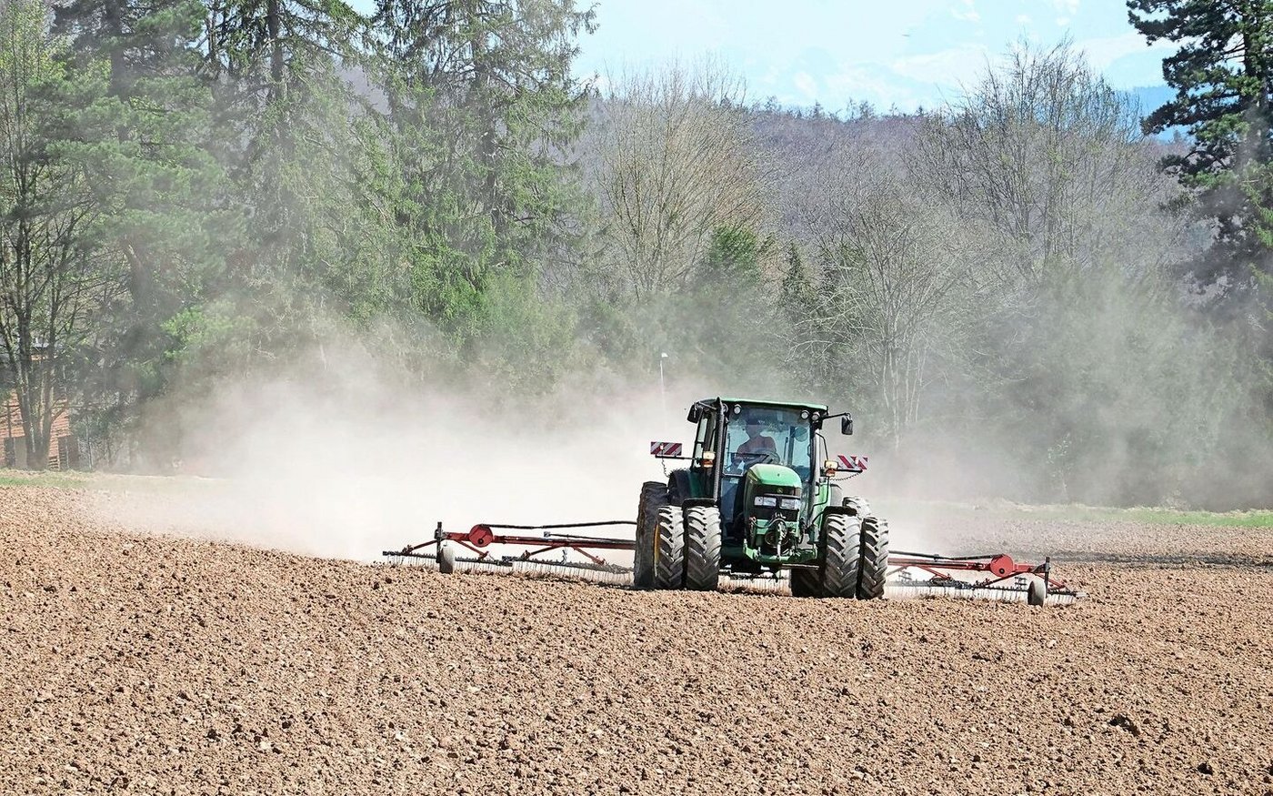Im Frühling wird ein möglichst früher Striegeldurchgang empfohlen, möglich ist auch vorsichtiges Blindstriegeln vor dem Auflaufen. Für eine wirksame mechanische Unkrautbekämpfung braucht es aber trockene Bedingungen.
