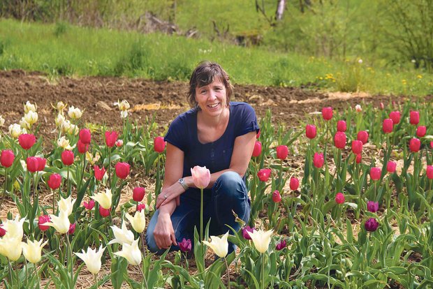 Jrene Zumbrunn betreibt im Oberbaselbiet ein Blumenfeld. (Bild bb)