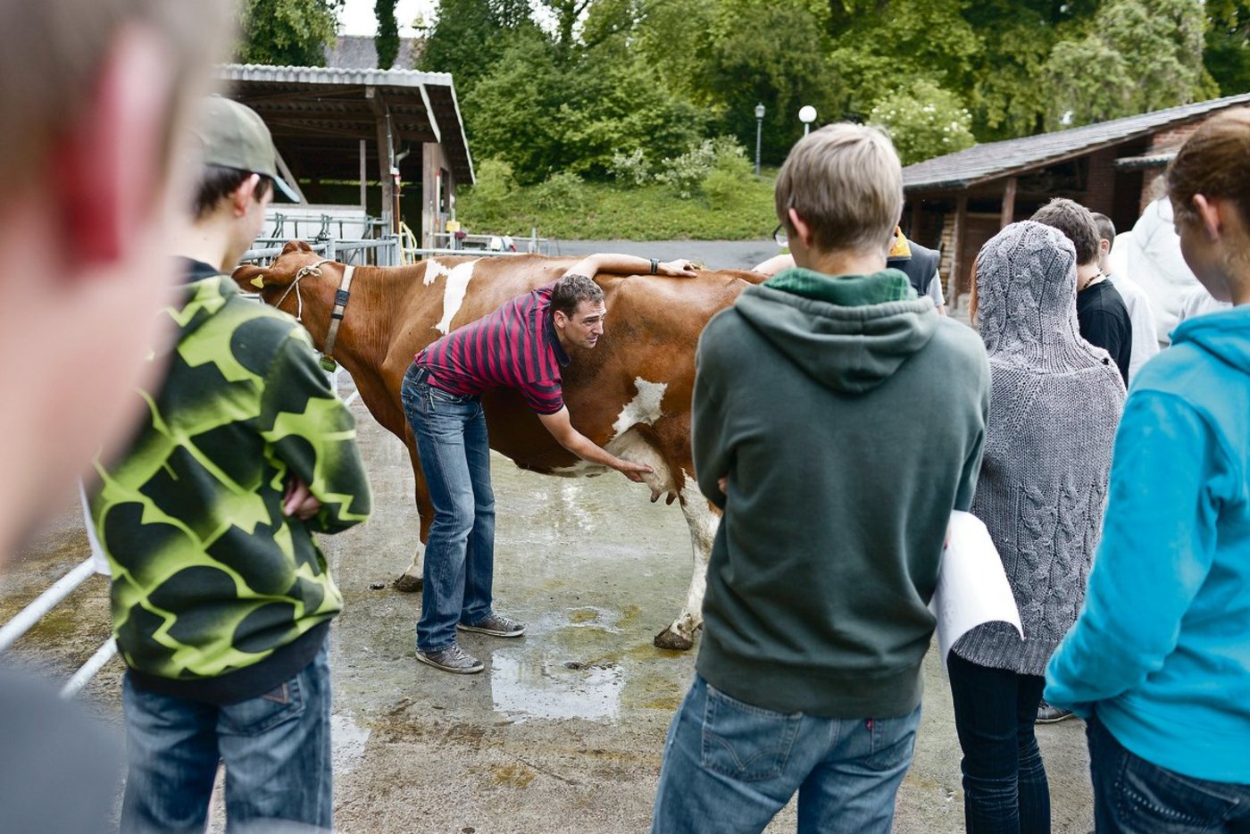 Landwirte im ersten Lehrjahr lauschen den Ausführungen eines Berufsschullehrers: Nicht immer läuft die Ausbildung harmonisch ab. Manchmal kann da die kantonale Lehraufsicht helfen. (Bild Keystone)
