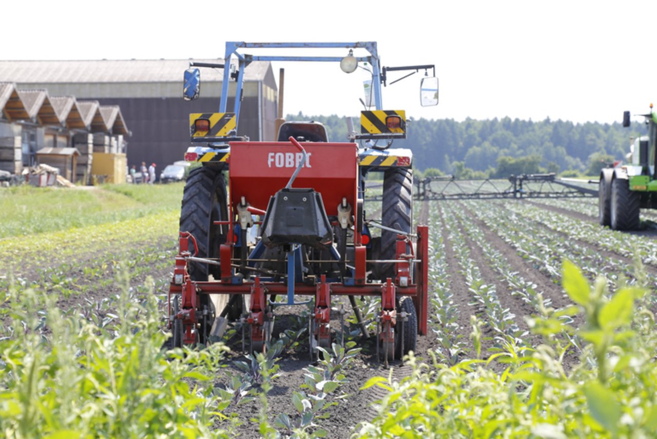 Die Landwirte, welche beim Projekt mitmachen, erhalten insgesamt 6,8 Millionen Franken für die Massnahmen. (Bild lid)