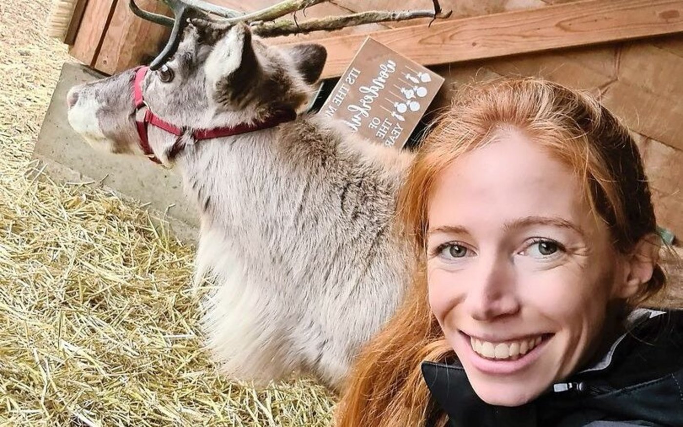 Salome Fürst hält auf ihrem Hof 18 Rentiere. Sie plant deren Einsatz schon jetzt im Sommer in all ihren Weihnachtsevents.
