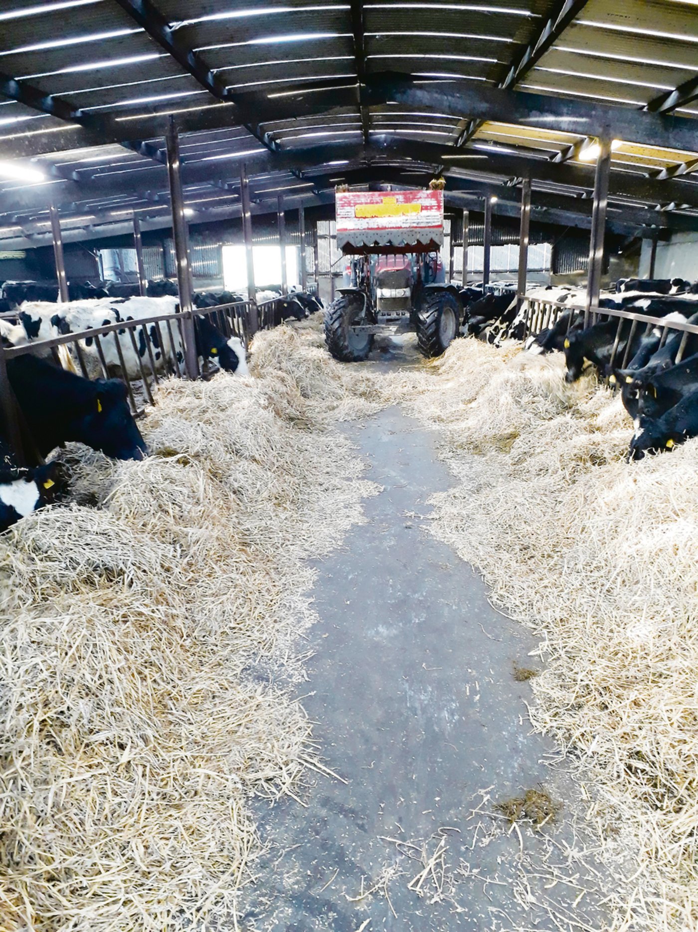 Der irländische Betrieb beschäftigt jährlich Kurzzeit-Mitarbeiter. Diese Möglichkeit nutzte Christoph Jungo noch, bevor er nächstes Jahr den elterlichen Betrieb übernimmt. 