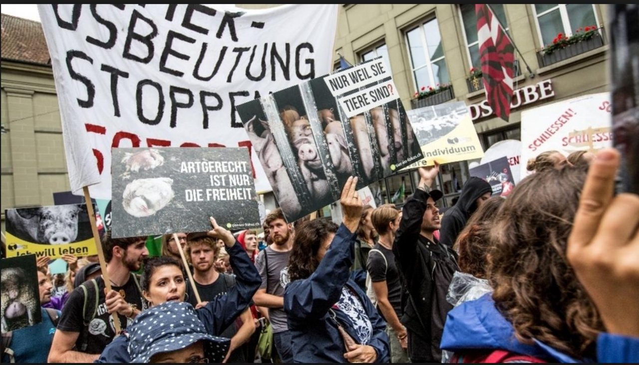 Am Samstag fand in Bern eine Demo für die Abschaffung der Nutztierhaltung statt. (Bild Berner Zeitung)