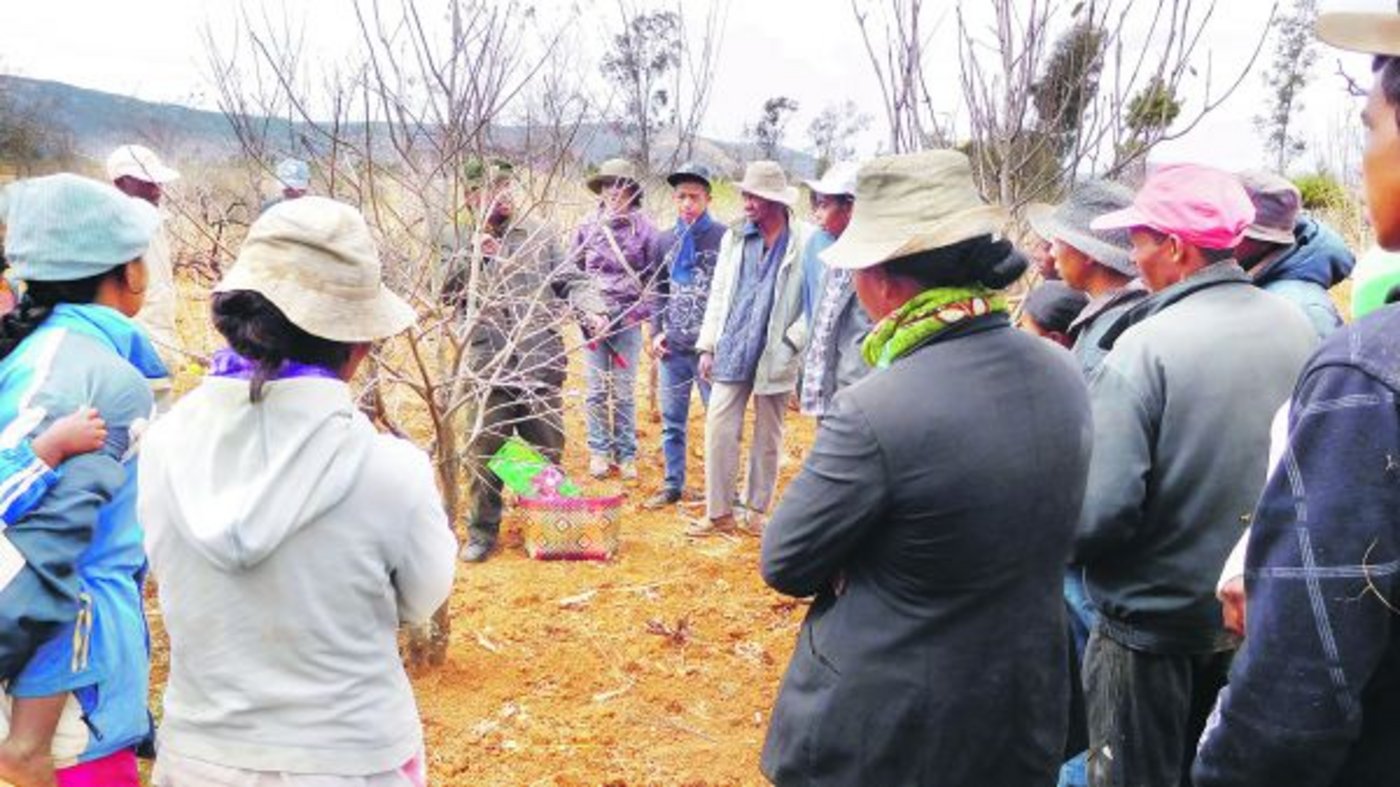 Einer von Hanspeter Limachers Assistenten erklärt in Madagassisch, der Nationalsprache des Inselstaates im Indischen Ozean, die korrekte Baumpflege. 