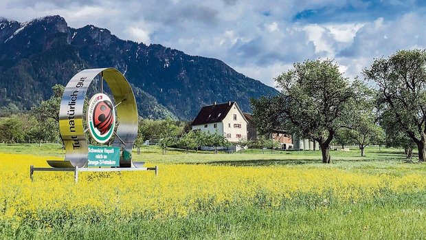 Auch dieses Jahr platziert IP-Graubünden in der Nähe der Autobahn einen Rapswagen, um die Konsument(innen) über die Produktion von gesundem Rapsöl hinzuweisen.