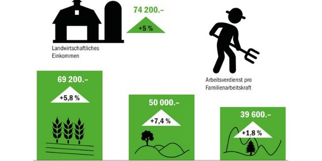 Nicht nur das durchschnittliche Einkommen nahm 2019 zu, auch der Arbeitsverdienst pro Familienarbeitskraft stieg an. Dieser legte in der Hügelregion am deutlichsten zu. (Grafik Agroscope/BauZ)