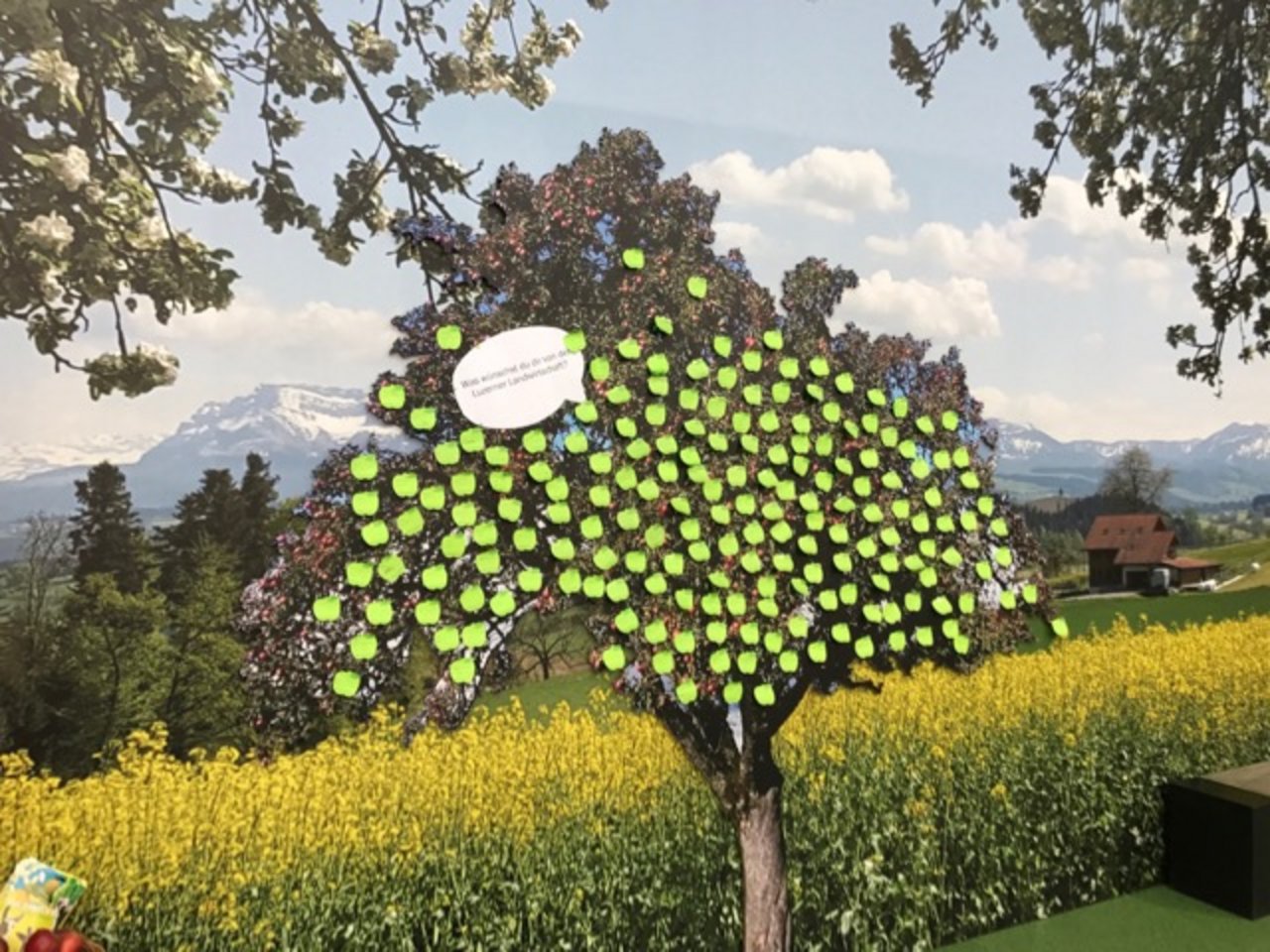 «Was wünschst du dir von der Luzerner Landwirtschaft?» Rund 200 Rückmeldungen gab es an der Luga. (Bild LBV)