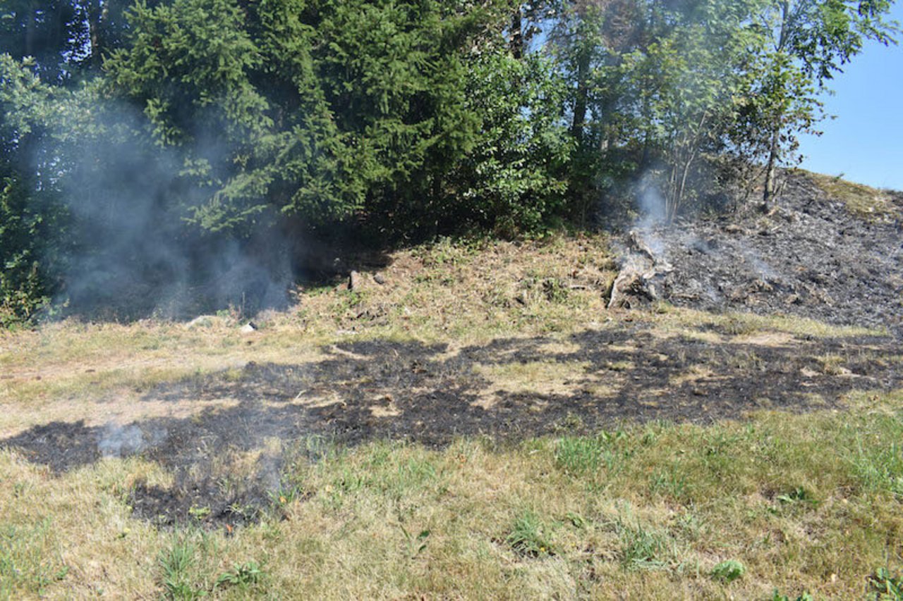 Beim Brand in Schüpfheim zeigten Ermittlungen, dass ein Mann hohes Gras rund um Bäume abgebrannt hatte. 
