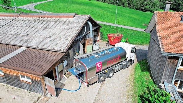 Täglich sind 80 Mooh-Lastwagen in 20 verschiedenen Kantonen unterwegs. Mit diesen Zahlen ist Mooh die grösste Milchvermarktungsorganisation der Schweiz.
