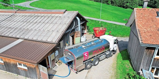 Täglich sind 80 Mooh-Lastwagen in 20 verschiedenen Kantonen unterwegs. Mit diesen Zahlen ist Mooh die grösste Milchvermarktungsorganisation der Schweiz.