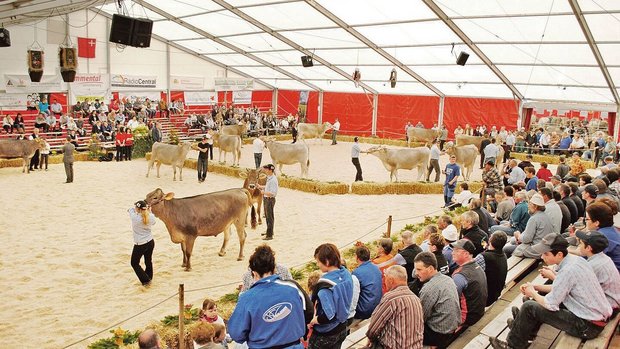 Vom 24. März bis zum 26. März treffen sich die Schwyzer Züchterinnen und Züchter in der Markthalle Rothenthurm. 