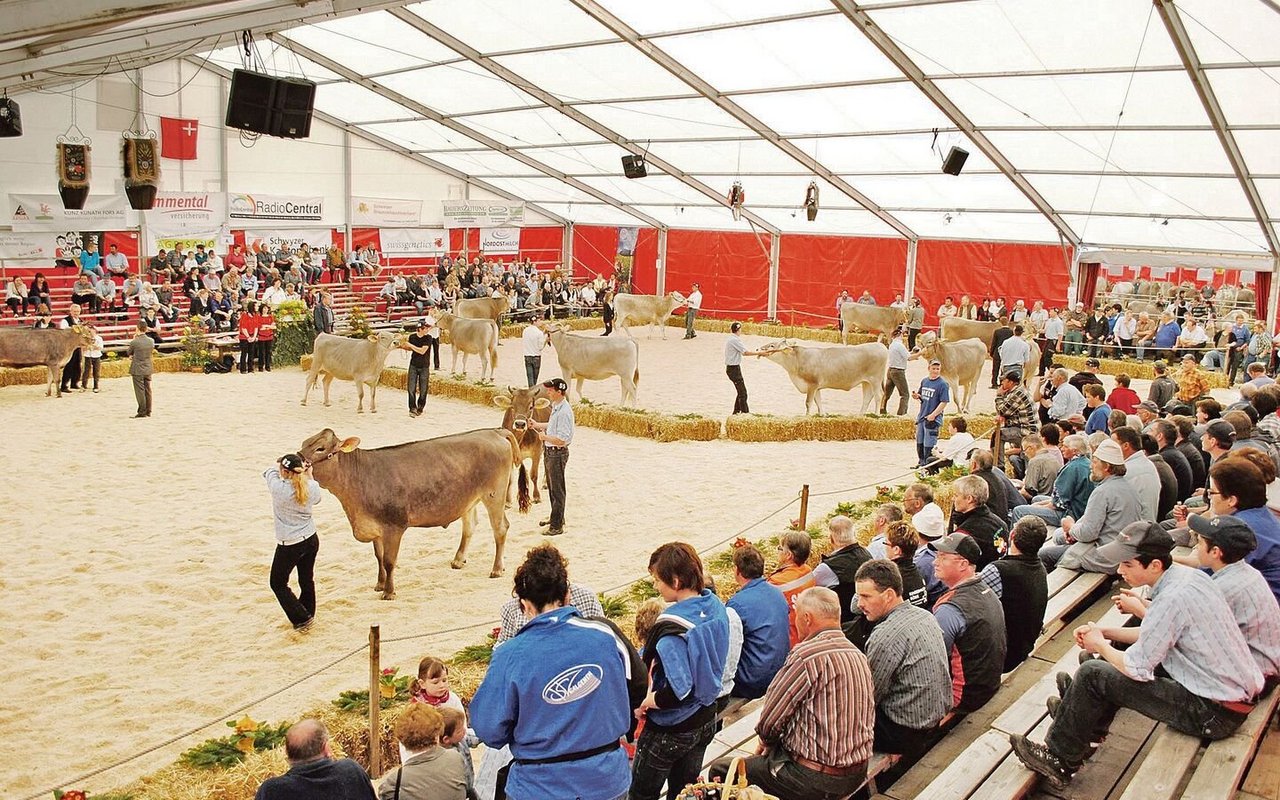 Vom 24. März bis zum 26. März treffen sich die Schwyzer Züchterinnen und Züchter in der Markthalle Rothenthurm. 