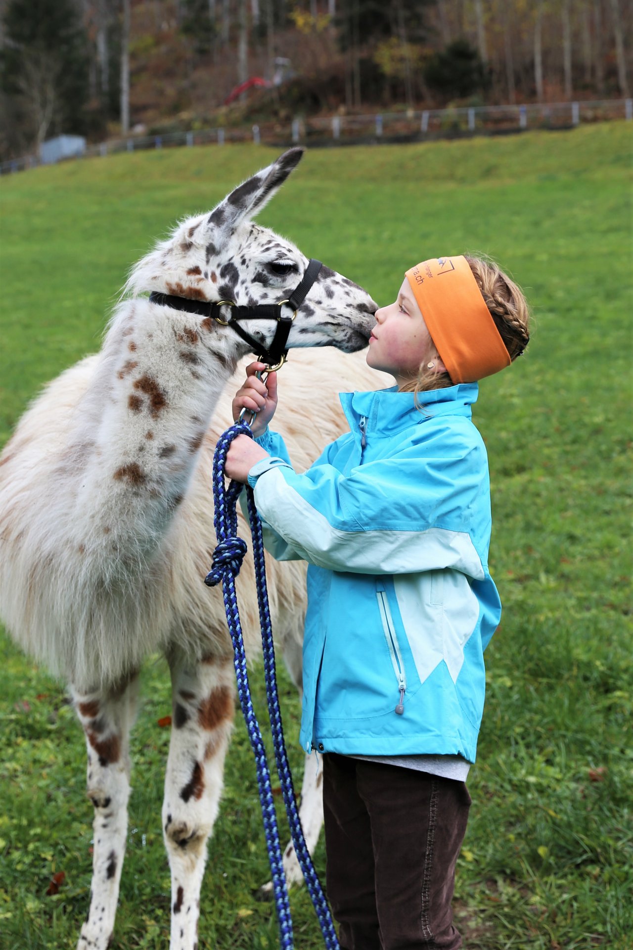 Lamas sind wirklich kontaktfreudig! Laura Fedier mit Lama Bambi.