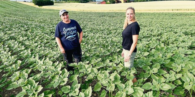 Die Strickhofberaterinnen Sonja Basler und Janine Hitz (v. l.) zeigten am Profiabend Ackerbau auf, wie ein herbizidfreier Anbau mit Sonnenblumen inklusive Untersaat funktionieren kann.