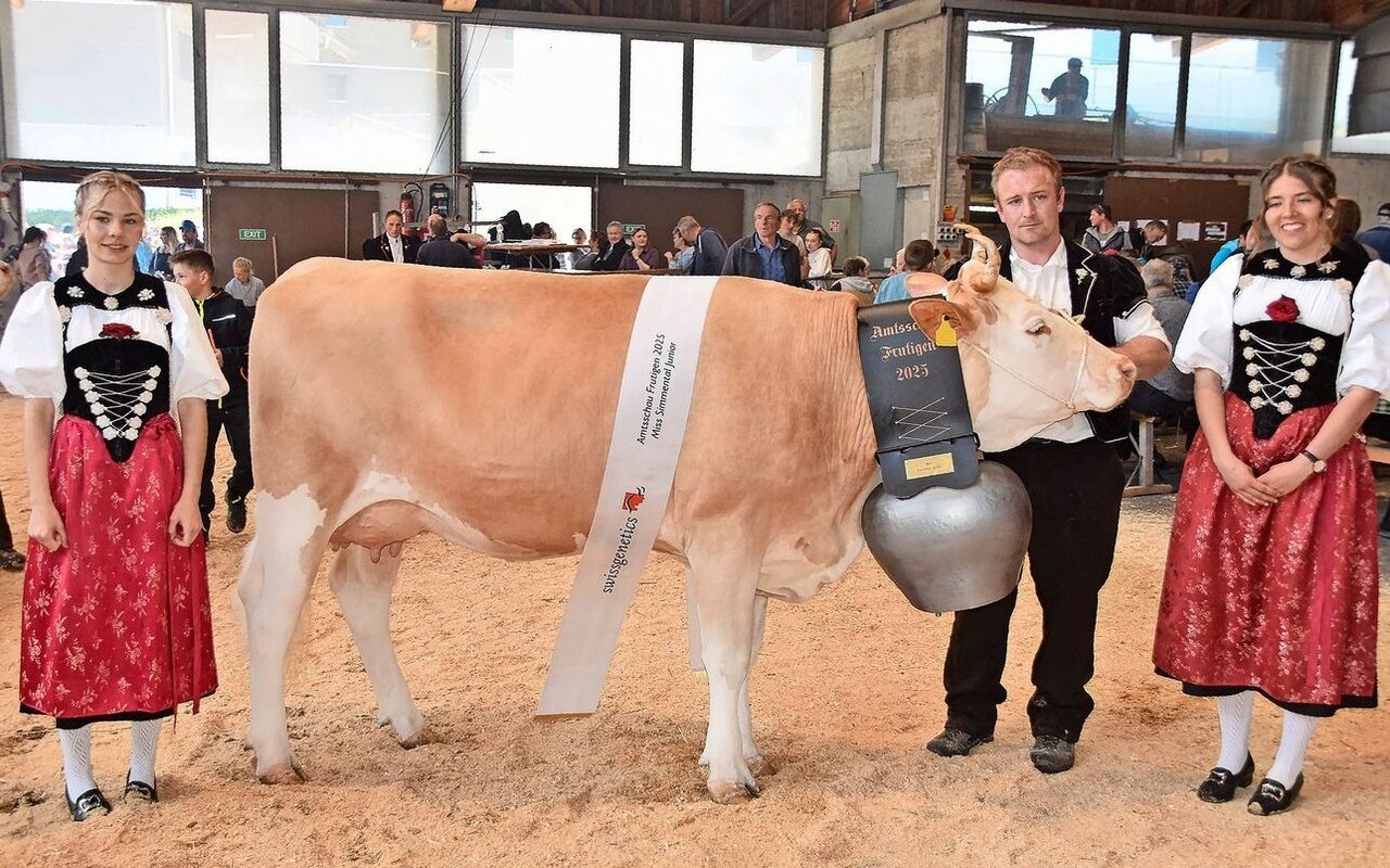 Die wunderschöne Amur Meieli von Andreas Steiner aus Ried wurde Junior-Miss bei den Simmentalern. 