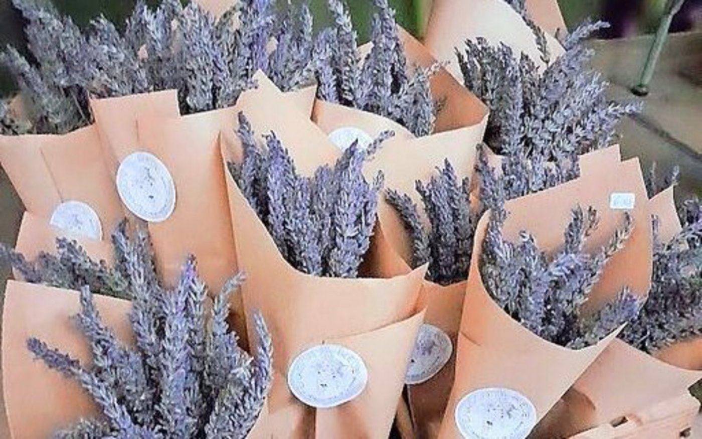 Die wohlriechende Ernte stilvoll verpackt. 