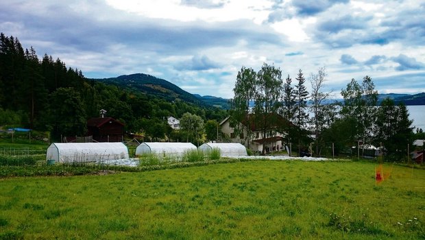 Die ersten Gastgeber von Angela Ineichen hatten einen Biobetrieb mit Kleintieren und verschiedenem Gemüse. Hier die Aussicht über den Biohof und den Mjøsa-See.