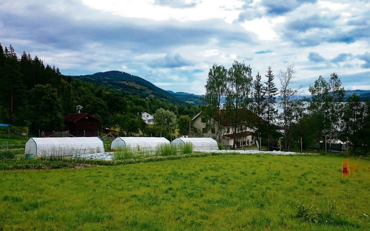 Die ersten Gastgeber von Angela Ineichen hatten einen Biobetrieb mit Kleintieren und verschiedenem Gemüse. Hier die Aussicht über den Biohof und den Mjøsa-See.