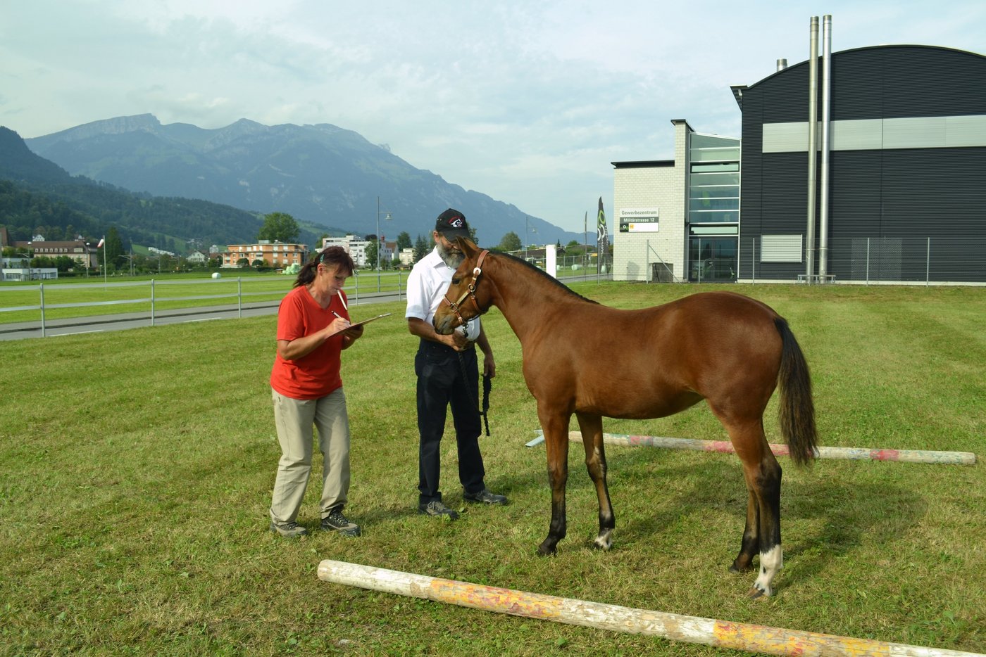Sarnen: Aufnahme des Signalements des Fohlens Ebony von Hans Zwyssig, Kerns. (Bild Paul Küchler)