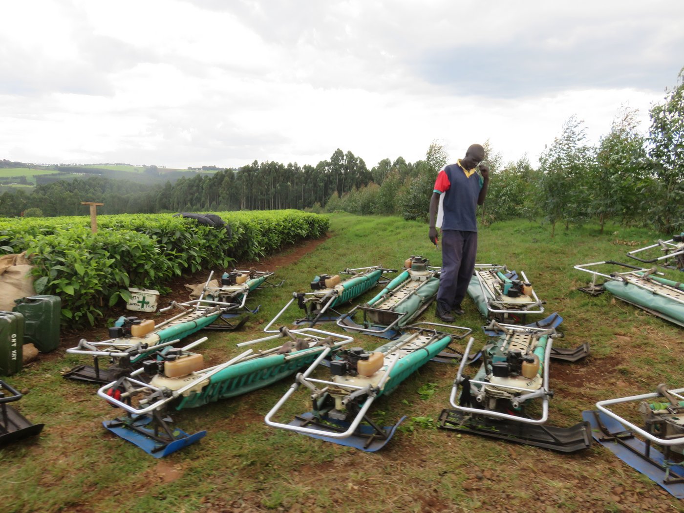 Aus Japan stammen die Pflückmaschinen. Die beiden Kufen der Maschine kommen auf den Teebüschen zu liegen, mit den Handgriffen kann die Maschine gezogen werden. Ein installierter Bläser bläst die Blätter in den Beutel, der hinten angebracht ist.