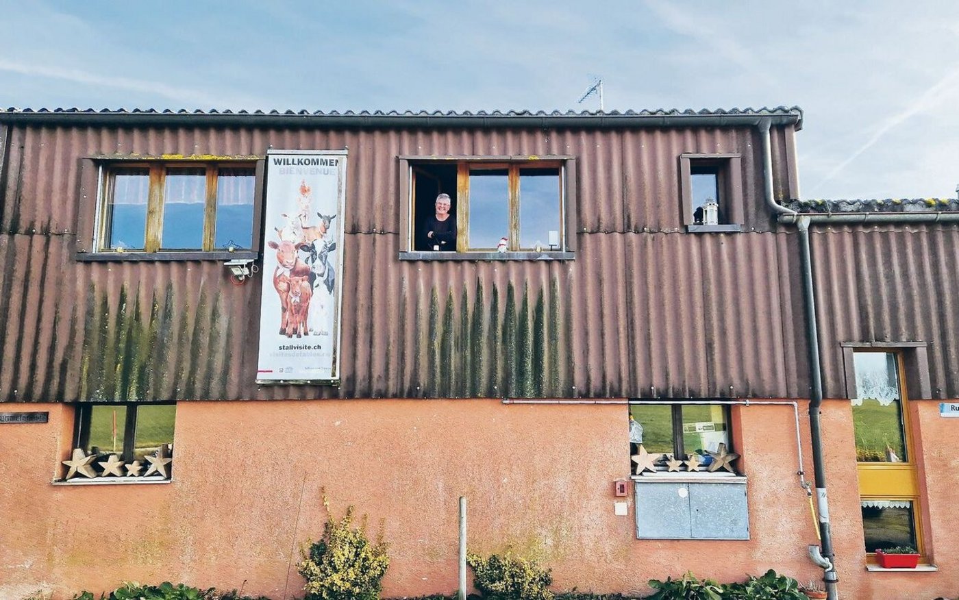 Wer findet Sandra Pfister auf dem Bild? Der Rummelenhof macht mit bei der Aktion «Stallvisite». 