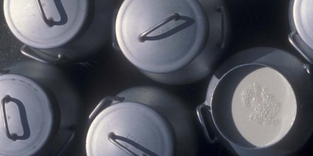 Das Parlament zeigt sich grosszügig bei neuen Milch-Subventionen. (Bild zVg)