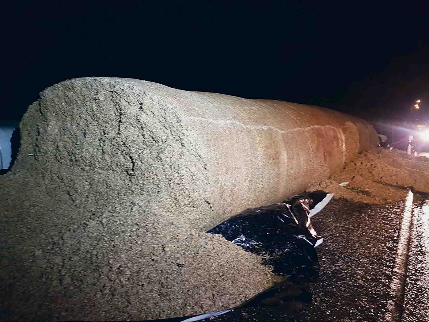 Da am Sonntagabend starker Wind wehte, dauerte es nicht lange, bis die Silowurst komplett abgedeckt war. Die Messerspuren in der Silage waren offenbar deutlich zu erkennen. (Bilder Fabienne Kolly)