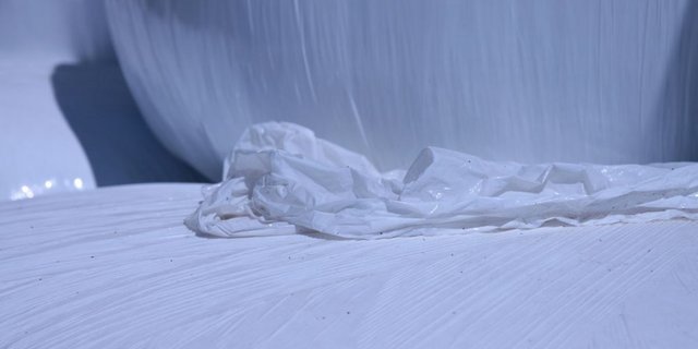 Knapp 90 Prozent der gebrauchten Silofolien werden in der Schweiz in Kehrichtverbrennungsanlagen verbrannt. Recycling ist aber billiger und erst noch besser für die Umwelt. (Bild: Claudia Frick) 